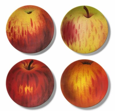 NWT JOHN DERIAN for Target 4pk Apple Print Melamine Salad Plate Set in Red ~8.5''