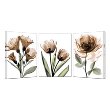 KREATIVE ARTS 3 Piece X-Ray Flower Canvas Wall Art - Abstract Transparent Flo...
