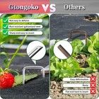 Foto 4 di 5