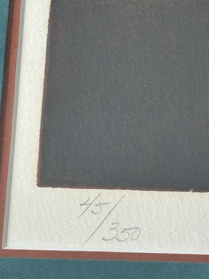 Impresión de retrato nativo americano firmada por Wayne Cooper edición limitada 45/350 enmarcada Foto 2 de 4