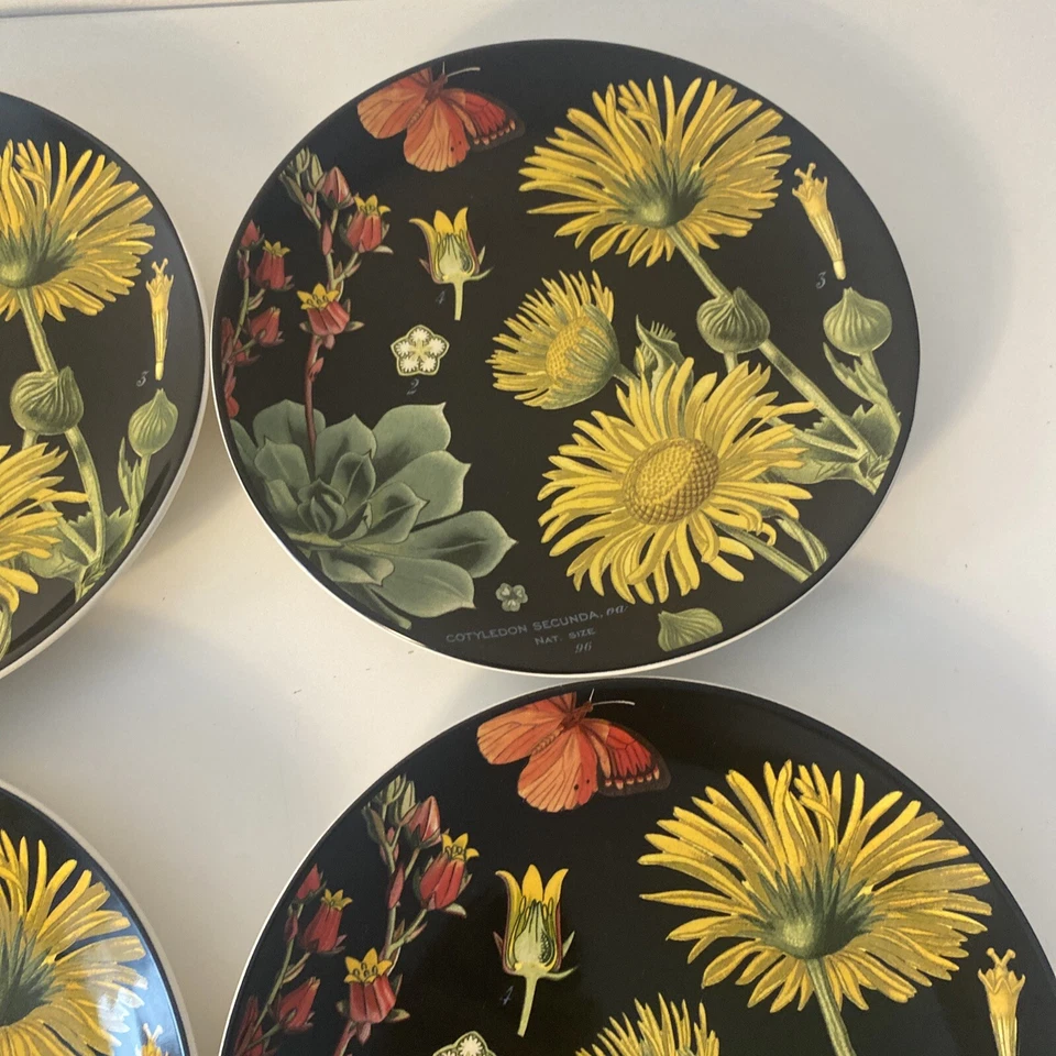 POTTERY BARN Conjunto de 4 Flora Botanica Preto Floral Prato de Salada Flores Amarelo - Imagem 3 de 4