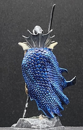 Painted Black Ark Fleetmaster Dark Elves WFB AOS Mordheim Idoneth Deepkin - Picture 6 of 8