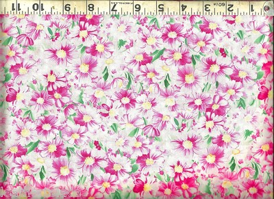Timeless Treasures ~ Fleur Pink Watercolor Floral ~ 100% Cotton Quilt Fabric BTY