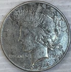 1934 Silver Peace Dollar Uncertified Extra Fine Circulated Condition