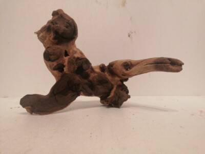 Mopani Moorholz - AQUARIEN - Aquarium - VIVARIUM - Reptil - Dekoration A10