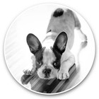 2 x Vinyl Stickers 30cm (bw) - Playful French Bulldog Animals Pets  #41329