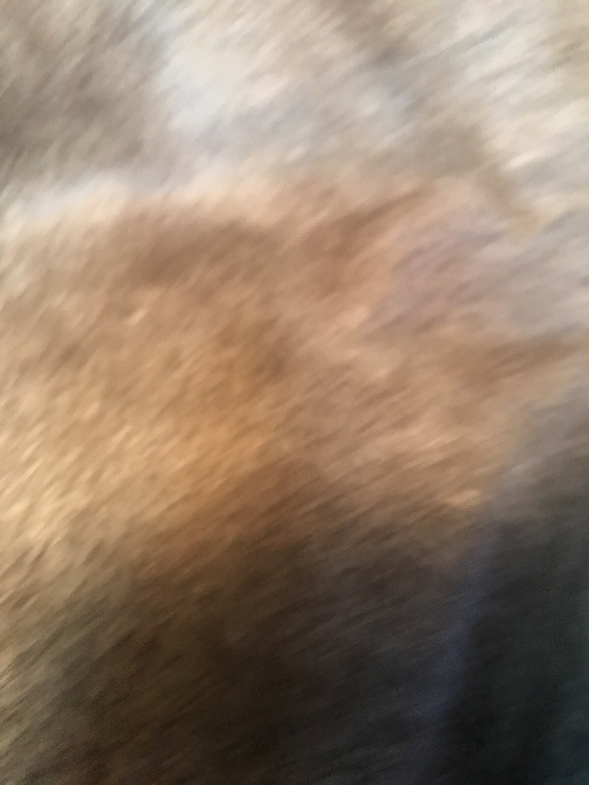 Picture 8 of 10