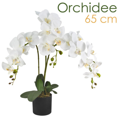 Knstliche Orchidee Kunstpflanze Pflanze Weiss Topf 65cm Decovego | eBay.de