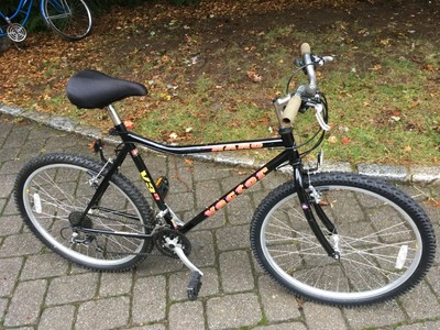 mans bicycle