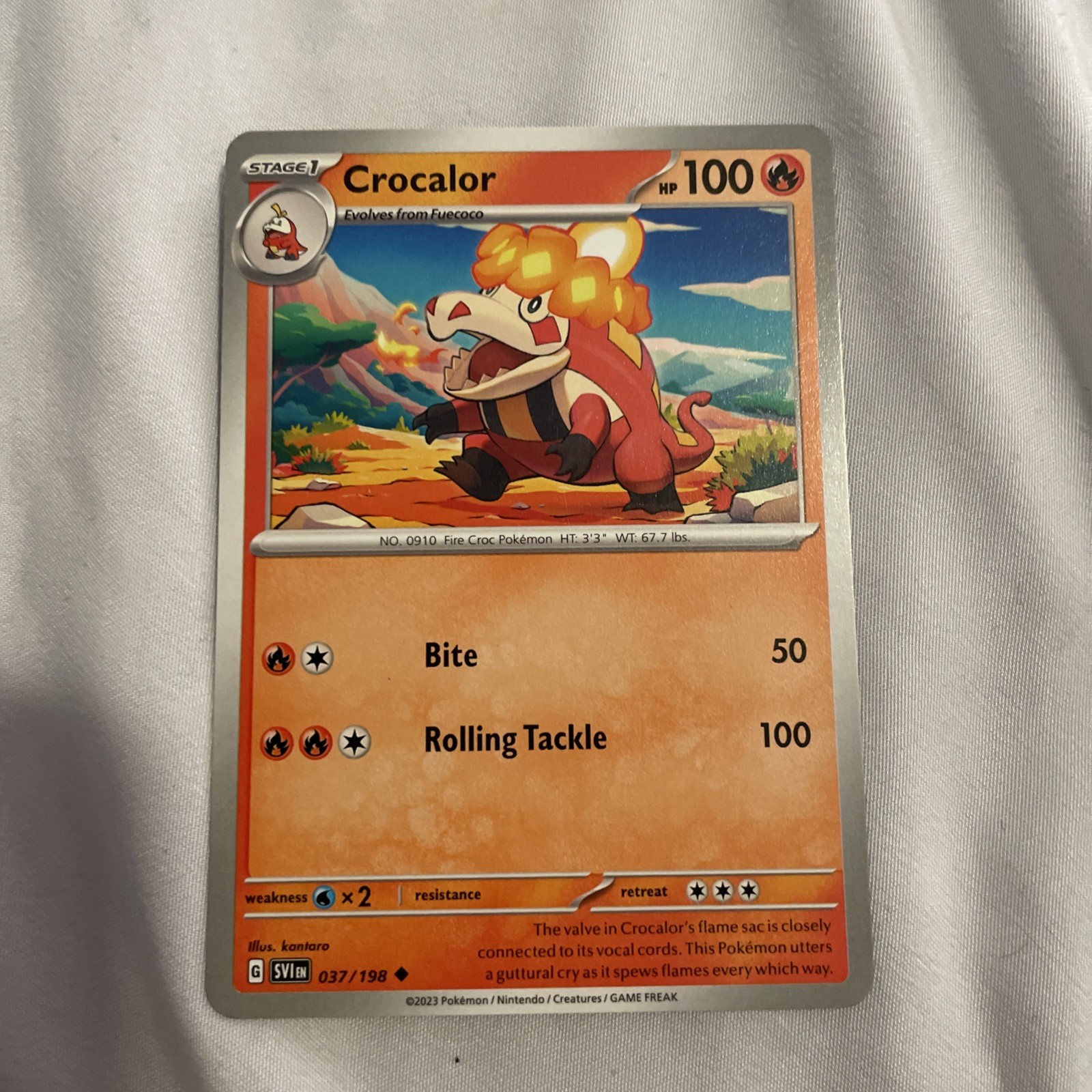 Crocalor Pokemon TCG Card 037/198