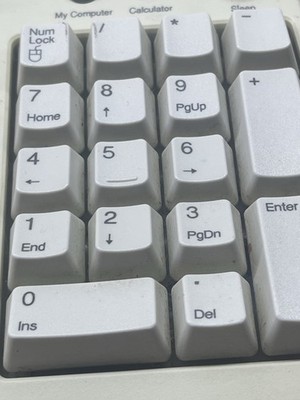 Microsoft Natural Pro Ergonomic USB PS/2 Keyboard Model RT9401 V