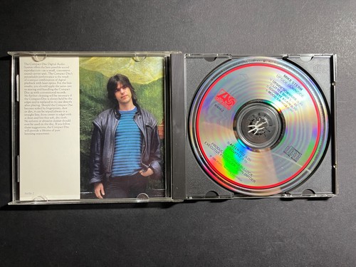 MIKE STERN UPSIDE DOWNSIDE 1986 Atlantic 7 81656-2 JACO U.S. NM CD WITH BONUS - 第 3/5 張圖片