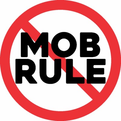 TRUMP STOP MOB RULE NO SNOWFLAKES ANTI DEMOCRAT LIBERAL MAGA DECAL ...