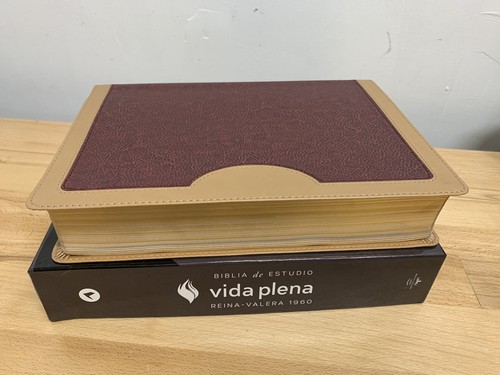 Biblia de Estudio de la Vida Plena Riena valera 1960 piel italina Beige - Picture 4 of 13