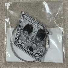 Attack on Titan Mikasa Ackerman Acrylic Keychain anique Opened Fair