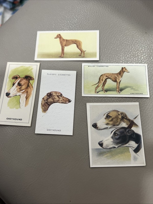 Lot x 5 Vintage Greyhound Trade Cards