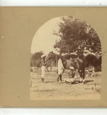 Shoeing a Horse Hyderabad India Capt Allan N Scott Stereoview c1860