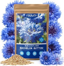 6000 Blue Cornflower Seeds - Bachelor Button Wildflower Non-GMO Heirloom