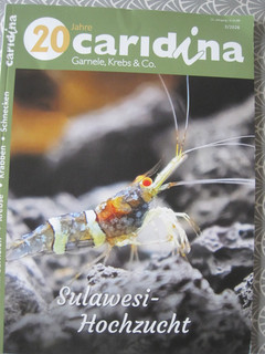 Caridina aktuelle Ausgabe 3/2026