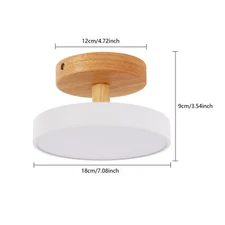 7 in Ceiling Mount Light Fixture Wide Voltage Ceiling Lamp W/Three Light Colors