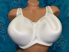 Wacoal Basic Beauty Spacer Underwire Ivory 853192 Smooth Cup T Shirt Bra 44DDD