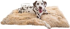 Best Friends Sheri Calming Shag Dog Blanket, Ultra Soft Pet Throw, 30"x40"