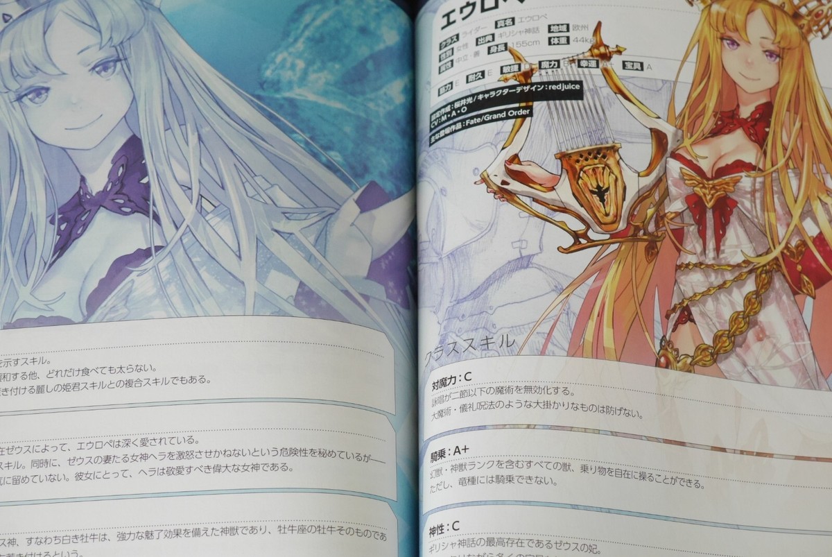 Type-Moon: Fate/Grand Order Material X (FGO Book) from JAPAN | eBay