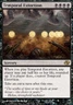 Slightly Played, English - 1 x MTG Temporal Extortion Planar Chaos