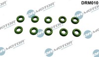 NEU - Dr.Motor Automotive DRM010 Dichtring, Einspritzventil FüR Audi Bentley