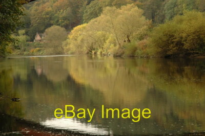 Photo 6x4 River Severn below Victoria Bridge Sunlight on trees on the ban c2009