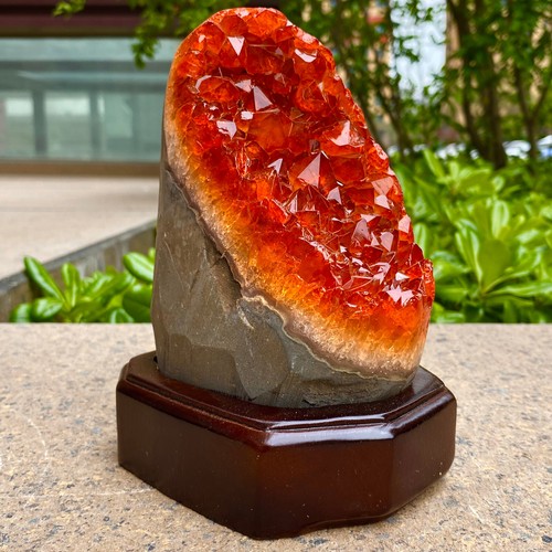 4.03LB Natural Citrine Geode Crystal Cluster Quartz Mineral Specimen Healing - 第 9/12 張圖片