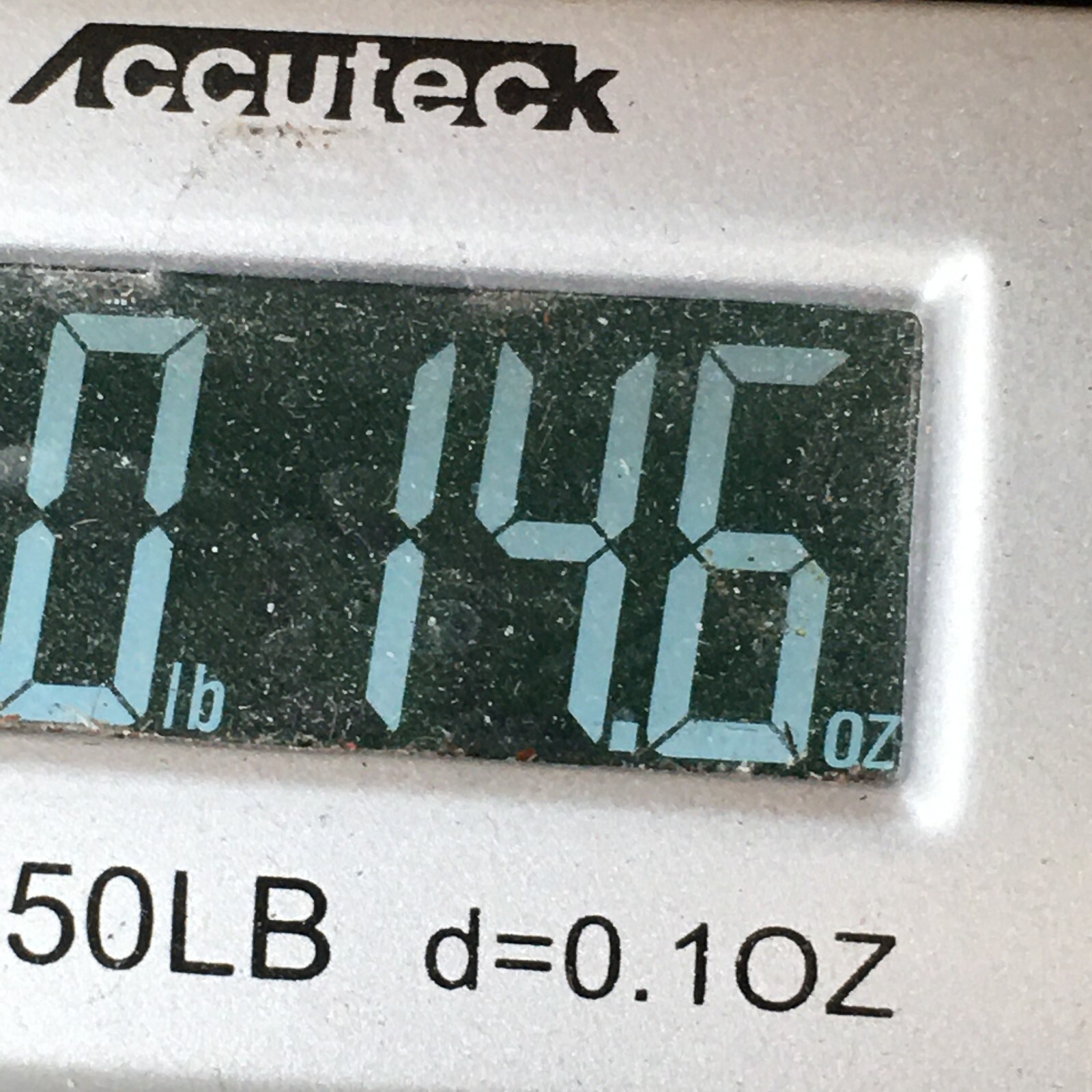 Bild 14 von 15