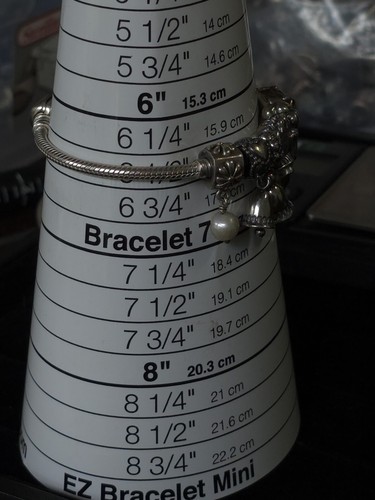 PANDORA Sterling Silver Custom Wedding Bridal Bride Theme 925 6 Charms Bracelet - Picture 16 of 16