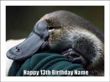 Platypus Cake Toppers Edible Icing Cake Australian Animal Decorations (2 Sizes)