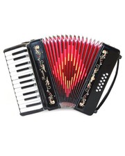 Rossetti 25-Key 12 Bass Button Piano Accordion in Key of G, Black w/ Case