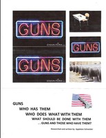 Gunsgunsguns Appleton Schneider Taschenbuch Kartoniert / Broschiert Englisch