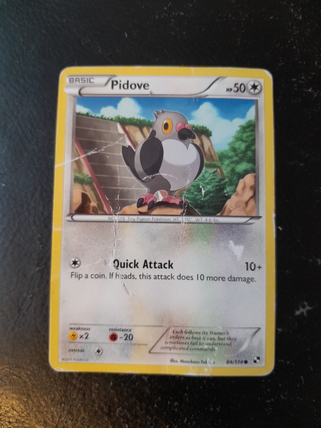 Pokemon Card 2011 Pidove