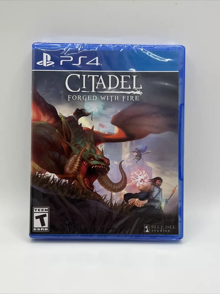 Citadel: Forged with Fire - PlayStation 4, PlayStation 4