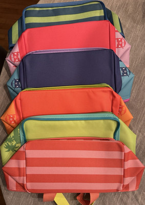 Trader Joe's Mini Insulated Tote Bags, Pack of 6, Multicolor Striped 10x6x6