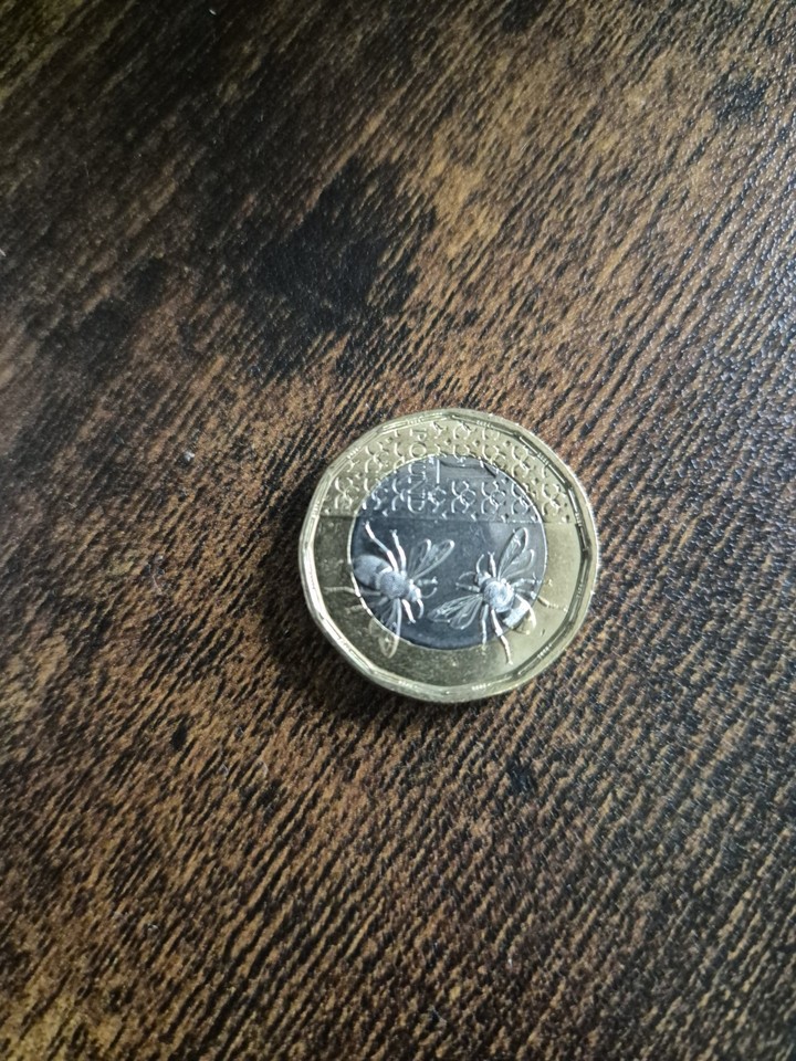 2025 Crownless King Charles III £1 coin. BEE COIN. RARE **** | eBay UK