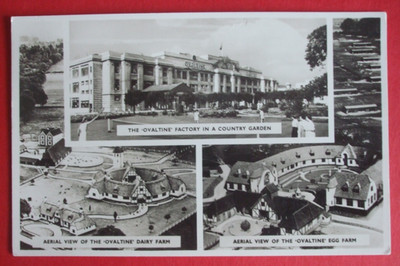 Alte HERTFORDSHIRE RPPC OVALTINE FACTORY EI & MILCHFARM KING'S LANGLEY