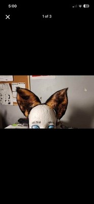 Furry Tail And Ears