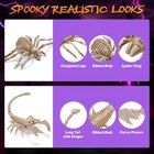 2 Pcs Spider with 2 Pcs Scorpion Skeleton Halloween Indoor Outdoor Décor — photo 3