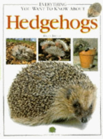 Everything You Want to Know About Hedgehogs by Breese, Dilys Paperback Book The - Bild 1 von 2