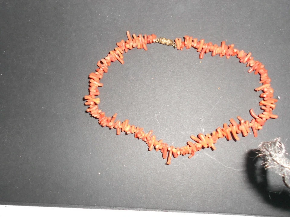 Collier femme ras-de-cou corail rouge naturel - Photo 1/1