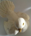 Picture 6 of 8