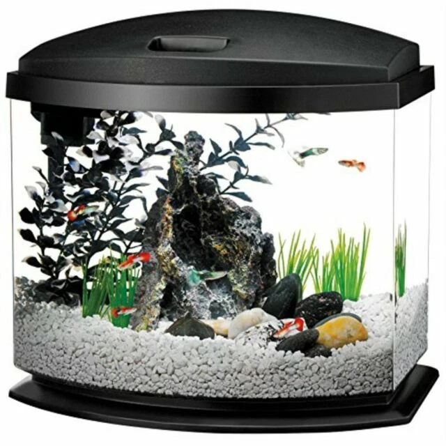 Aqueon Glass Tank Complete Aquarium Setups