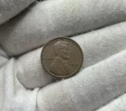 1919 S Lincoln Wheat Cent Penny - BETTER GRADE C369