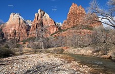 Zion National Park Virgin River Utah #13 Red Rock Canyon Poster Photo Print ZP26