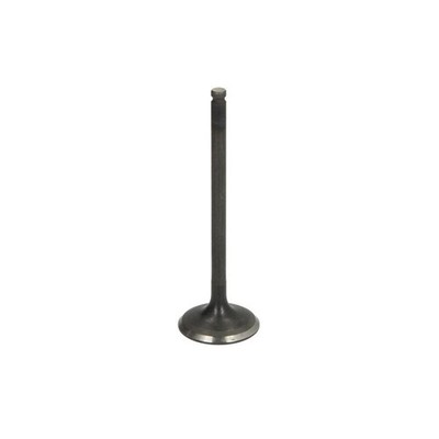   FRECCIA INTAKE VALVE 6743/SNT NEU DE STOCK